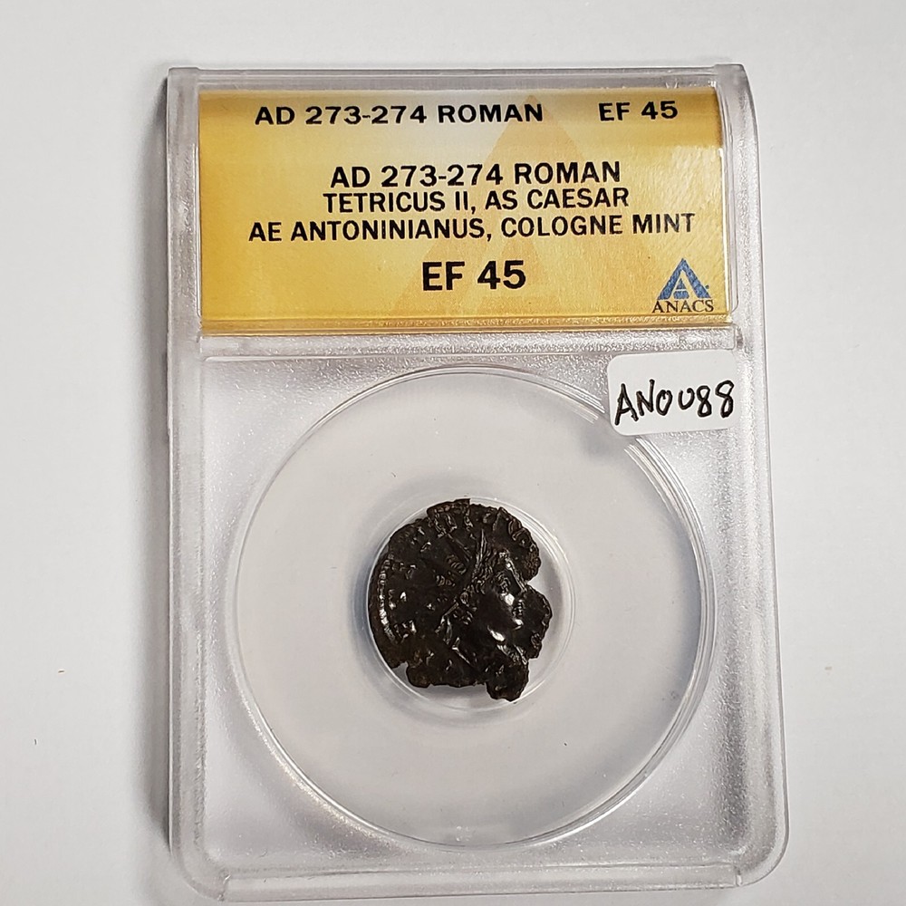 AD 273-4 Roman Tetricus II As Caesar Antoninianus Cologne – ANACS EF 45 – AN0088