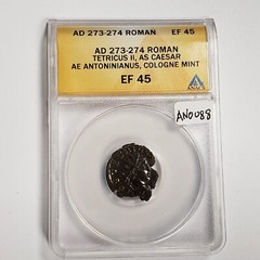 AD 273-4 Roman Tetricus II As Caesar Antoninianus Cologne – ANACS EF 45 – AN0088