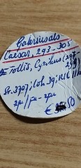 Roman Empire Galerio Maximiano Follis Cyzico Genio Aug Spl RR Auction Munthandel