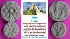 ORIGINAL Desert Patina 2 Widows Mites Herods Hoard Holy Land Artifact COA A15