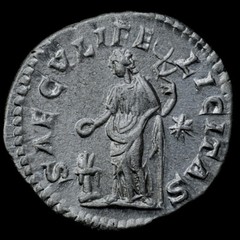 Julija Maesa NGC Ch XF ROMAN COINS AD 218-224/5 AR Denarius A936