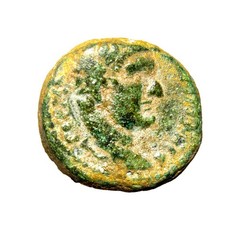 VERY RARE Judaea Capta Domitian, with Agrippa II Æ 19mm of Caesarea Panias Coin