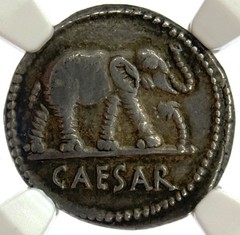 44 BC ROME JULIUS CAESAR SILVER DENARIUS ELEPHANT COIN NGC CHOICE VERY FINE 4/5