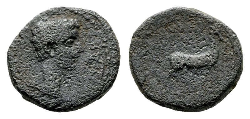 Phrygia. Apameia. Germanicus as Caesar, 15 BC-AD 19. Bronze Æ