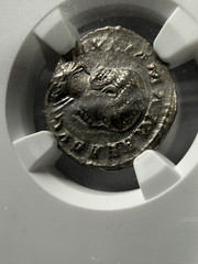 Julia Mamaea (Sev. Alexander Empress) Silver Denarius NGC Ch XF Roman AD 222-235