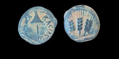 Judaea, Herodian Kingdom. Agrippa I. 37-44 C.E. AE prutah Jerusalem Roman Coin.