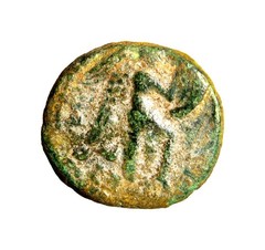VERY RARE Judaea Capta Domitian, with Agrippa II Æ 19mm of Caesarea Panias Coin