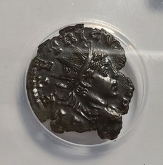 AD 273-4 Roman Tetricus II As Caesar Antoninianus Cologne – ANACS EF 45 – AN0088