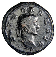 RARE Divus Carus Æ Antoninianus. Struck under Carinus, Lugdunum Eagle Coin