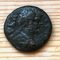 SEPTIMIUS SEVERUS NICOPOLIS AD 193-211 Æ (LION) RARE!