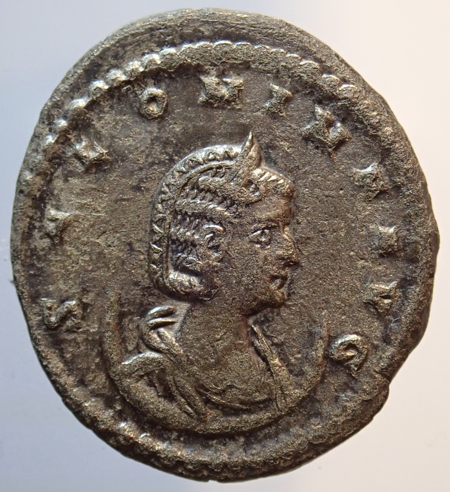 RARE !!! Salonina CERERI AVG, Ceres, Original Authentic !!!