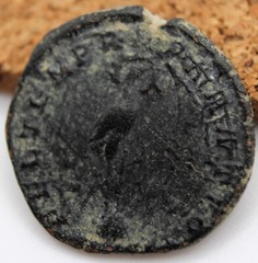 Roman Imperial | Constantius II | AE3 | Antioch | Phoenix Rising | FEL TEMP