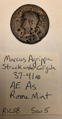 Marcus Agrippa Bronze As Minted under Caligula – Rome Mint – 37-41AD