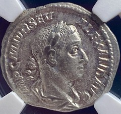 NGC Emperor Severus Alexander 222-235 AD Ancient Silver Roman Denarius Genuine
