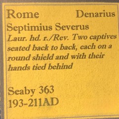 ⚠️ Rome Denarius Septimius Severus 193-211 AD, Rare Seaby 363 variety! XF ⚠️