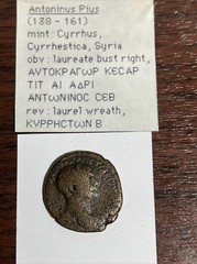 Antoninus Pius 148-161 AD Cyrrhestica, Syria. One Of The “5 Good Emperors” R1186