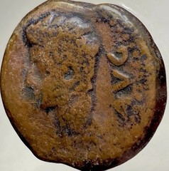 Emperor Octavian Augustus Ancient Coin 19BC-14AD Roman Province Colonia Patricia