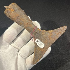 14th Century Mongol Socketed Axe – Iron – Recovered South of Moscow – 1300s