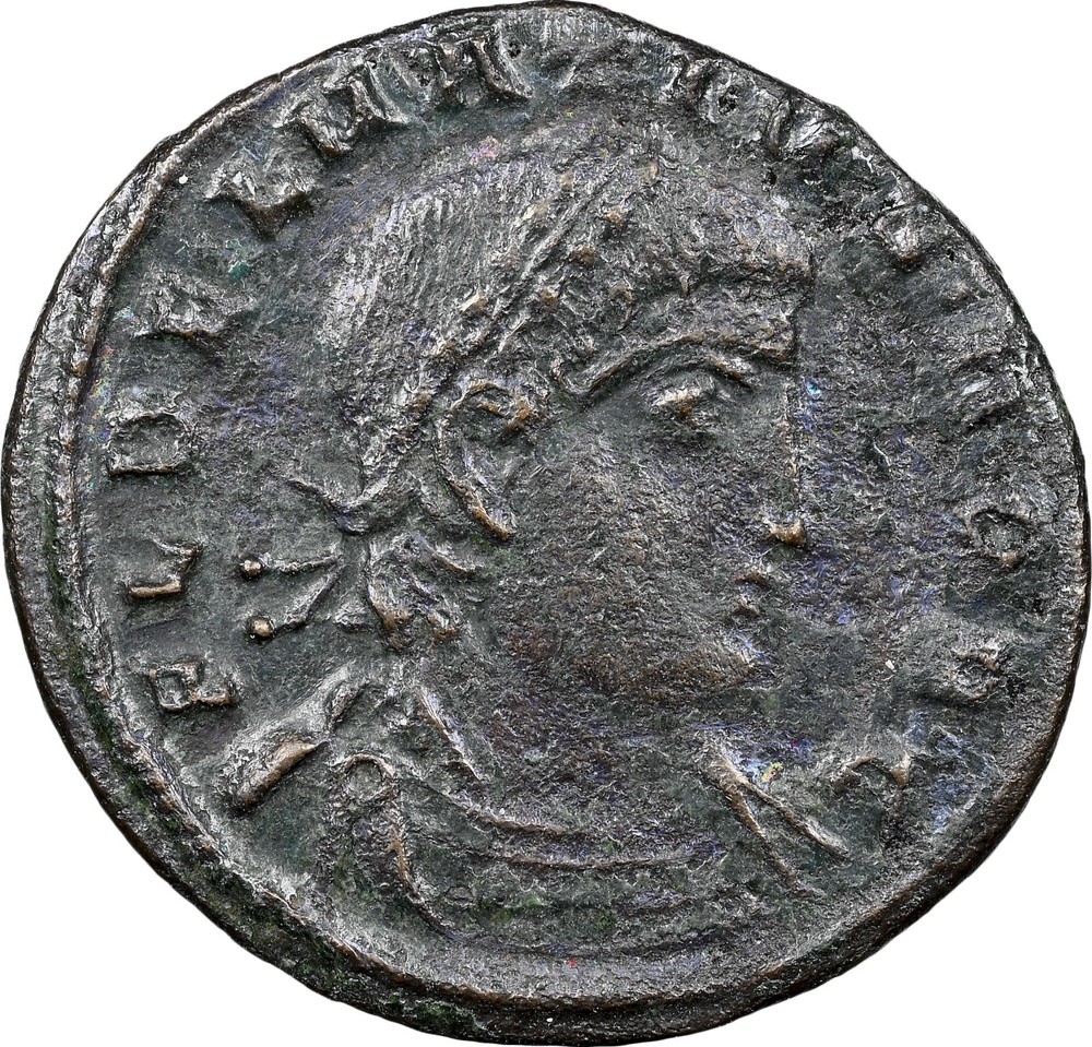 EMPIRE Emperor Delmatius Soldiers Military Standard NGC Ancient Roman Coin D1351
