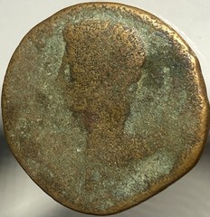 Emperor Augustus Sestertius Gaius and Lucius 27BC-14AD Julia Traducta Scarce