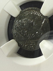 Constans BI Nummus NGC Ch XF House of Constantine AD 337-350 Strong Portrait