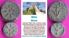 ORIGINAL Desert Patina 2 Widows Mites Herods Hoard Holy Land Artifact COA A26