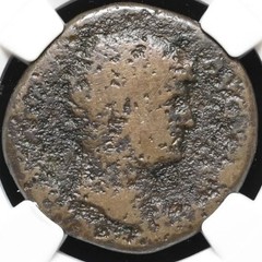 Hadrian 117-138 AD, Roman Empire Bronze AE Dupondius Coin, PEGASUS on BACK, NGC