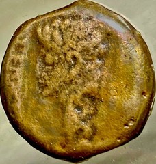 14BC-10BC Emperor Octavian Augustus Ancient Roman Province Julia Traducta Coin