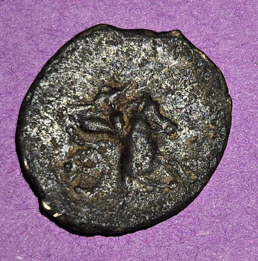 Ancient Unidentified Coin Likely Roman Bronze Chariot – Negotiable