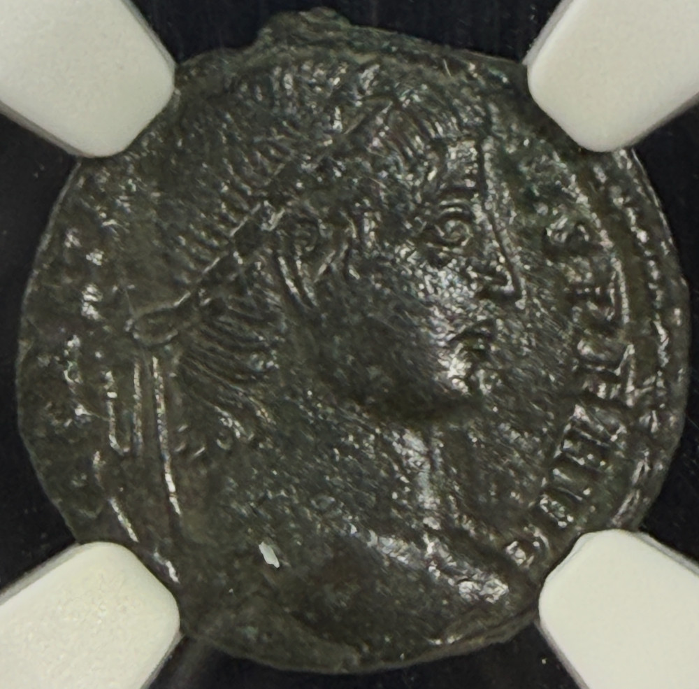 Constans BI Nummus NGC Ch XF House of Constantine AD 337-350 Strong Portrait