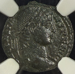 Constans BI Nummus NGC Ch XF House of Constantine AD 337-350 Strong Portrait