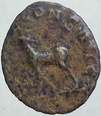 Genuine Ancient Roman Coin 260-268AD Gallienus Zoo Series Antelope Dianae Cons