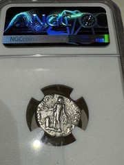 Roman Denarius Septimius Severus AD193 – 211 NGC Certified Ancient Research Data
