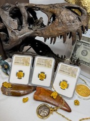 TITUS NGC AU 5X3 ROMAN EMPIRE AUREUS 79AD CAESAR AUGUSTUS ANCIENT GOLD COINS