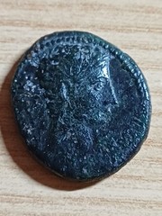 Augusto Provincial Axis MB Rare