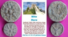 ORIGINAL Desert Patina 2 Widows Mites Herods Hoard Holy Land Artifact COA A05