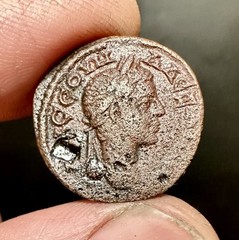 Severus Alexander (222-235AD) Ancient Countermarked, Grain Reverse