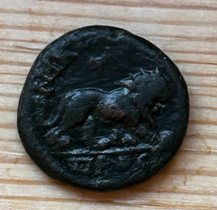 SEPTIMIUS SEVERUS NICOPOLIS AD 193-211 Æ (LION) RARE!