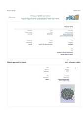 2 Nice Widows Mite Coins Holy Land Artifact Display Card Export Permit COA @L827