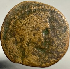Roman Province of Baetica 42BC-1BC Coin Augustus Male Figure Holding Grapes Rare