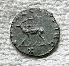 Ancient Roman Empire Coin Gallienus 253 – 268 AD. Stag Deer Doe Animal Wildlife