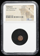 VANDALS. Pseudo-Imperial coinage. Circa 440-490. Æ Nummus, Palm tree, NGC Fine