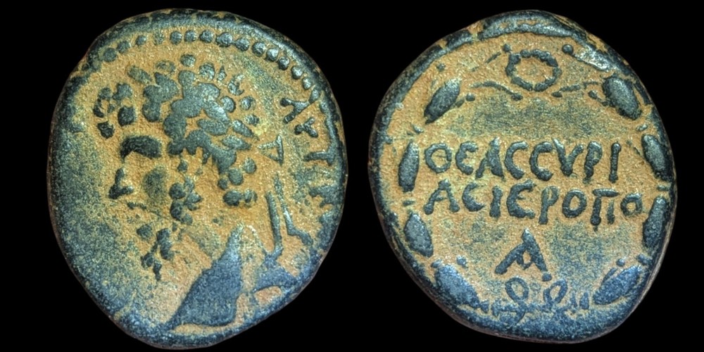 Roman Lucius Verus Imperial Cyrrhestica Hierapolis AD 161-169 Æ Bust Facing Left