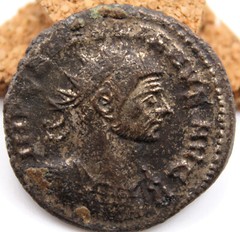 Roman Imperial | Aurelian | AE Antoninianus | Tripolis | 274 CE | Rare Mint | KA