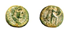 VERY RARE Judaea Capta Domitian, with Agrippa II Æ 19mm of Caesarea Panias Coin