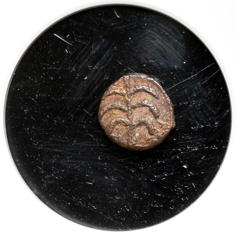 VANDALS. Pseudo-Imperial coinage. Circa 440-490. Æ Nummus, Palm tree, NGC Fine