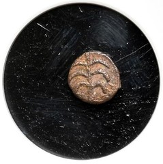 VANDALS. Pseudo-Imperial coinage. Circa 440-490. Æ Nummus, Palm tree, NGC Fine