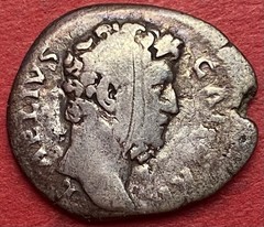 Aelius Denier Ancient Coin – Rome – 100827836