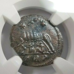 She-Wolf Twins Constantine NGC Ch XF Roman Empire Nummus Remus Epfig Hoard