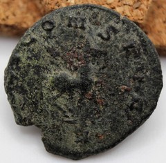 Roman Imperial | Gallienus | AE Antoninianus | Rome | PEGASUS | ZOO SERIES | SOL